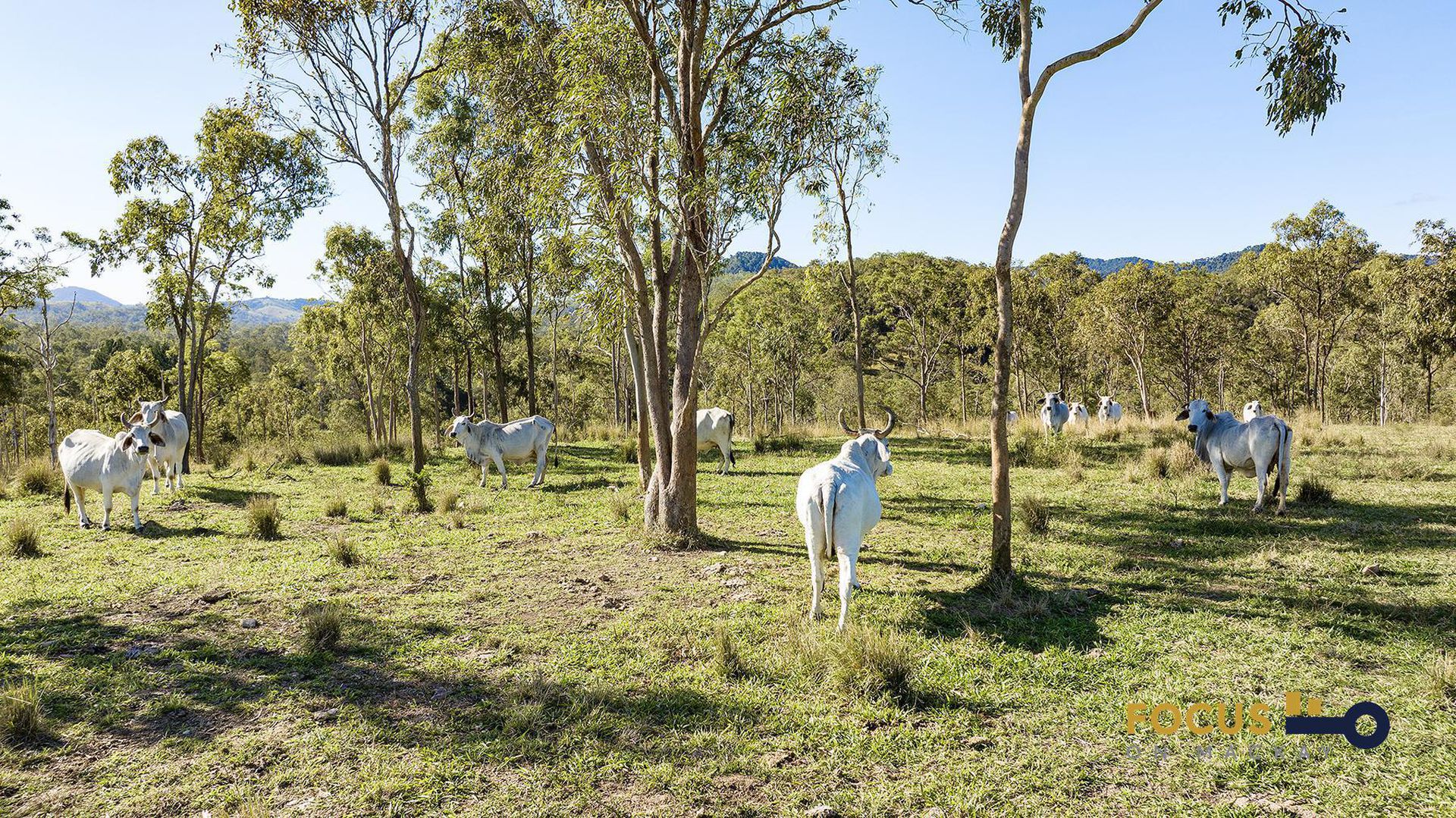125 Lawrie Road, Sarina Range