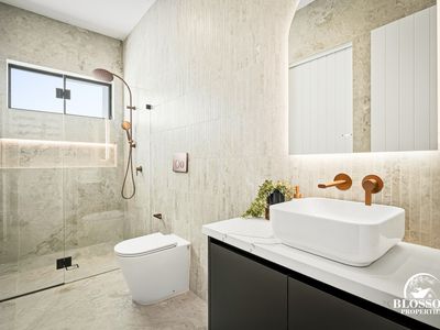 47  Feathertail Avenue, Marsden Park