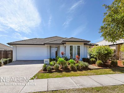 215 Alawoona Street, Redbank Plains