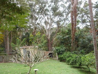 174 Billinudgel Road, Billinudgel