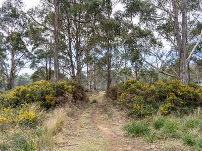 6 Brewis Place, Lake Leake