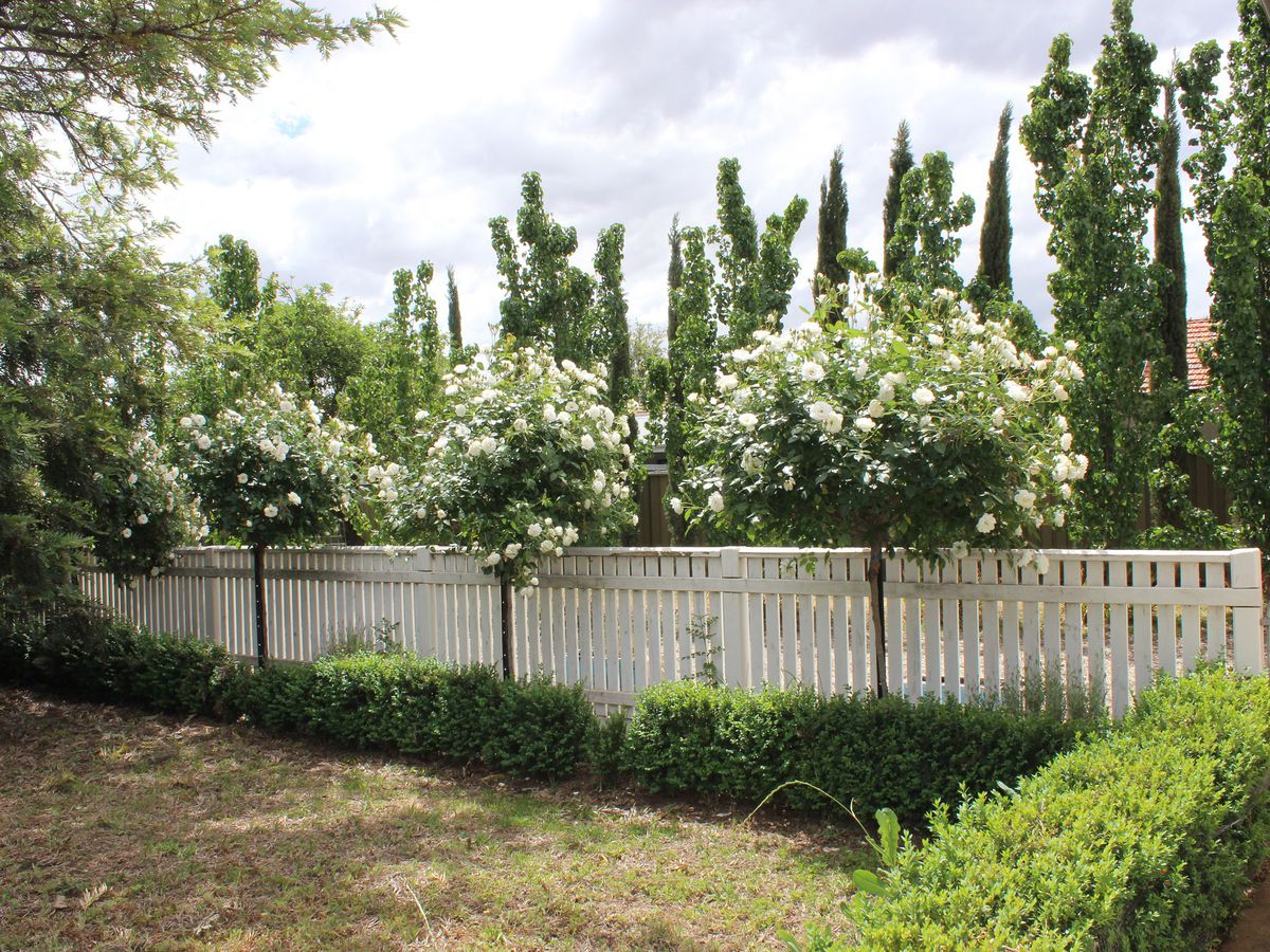 1 Meadows Avenue, Benalla