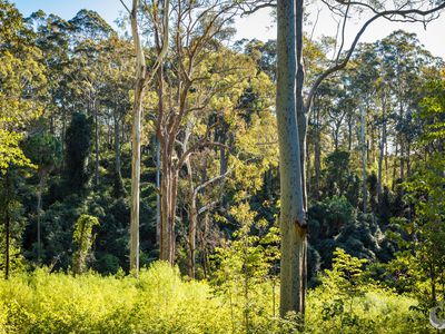 212 Ridge Road, Central Tilba