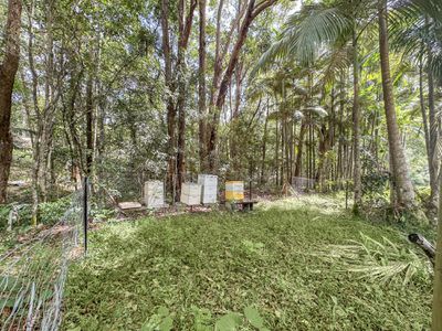 92 Cash Road, Eumundi