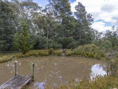 61 Turn Creek Road, Grove