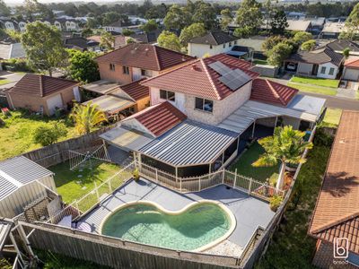 3 Raintree Terrace, Wadalba