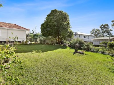 1 / 60 Hawken Drive, St Lucia