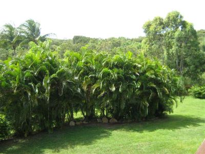 1 Chace Close, Cooktown