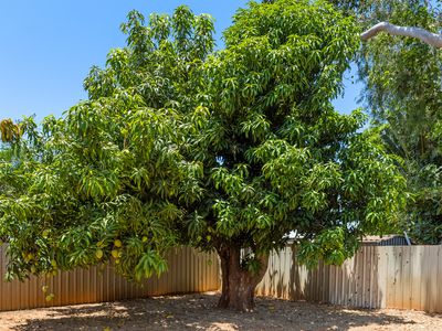 13 Brown Court, Cable Beach
