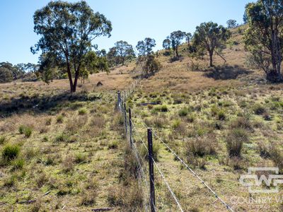 Lot 12, 212 Mole Station Road, Tenterfield