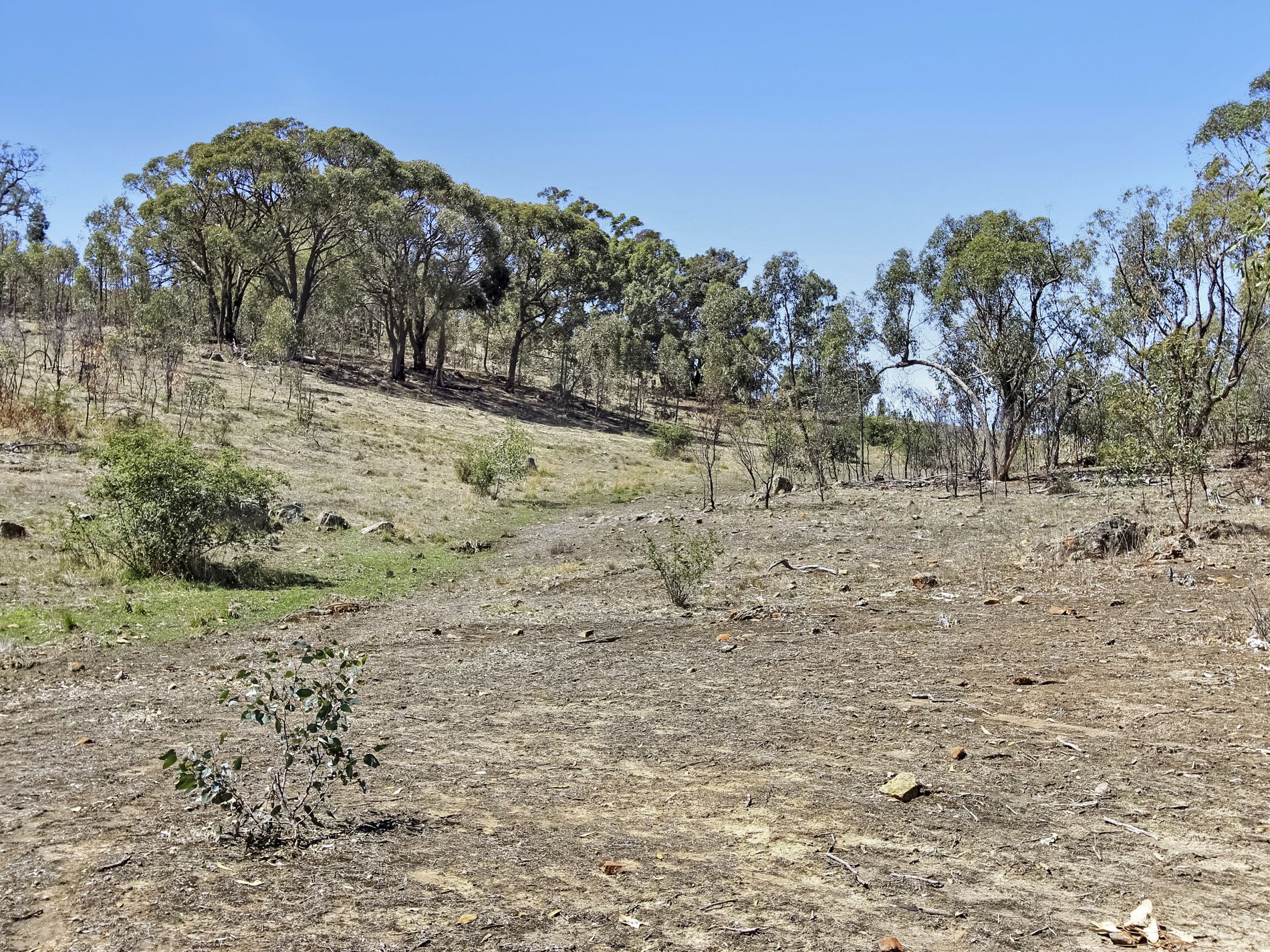 Lot 30A, Potters Lane, Heathcote