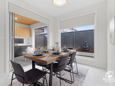 55 Diamondback Parade, Marsden Park