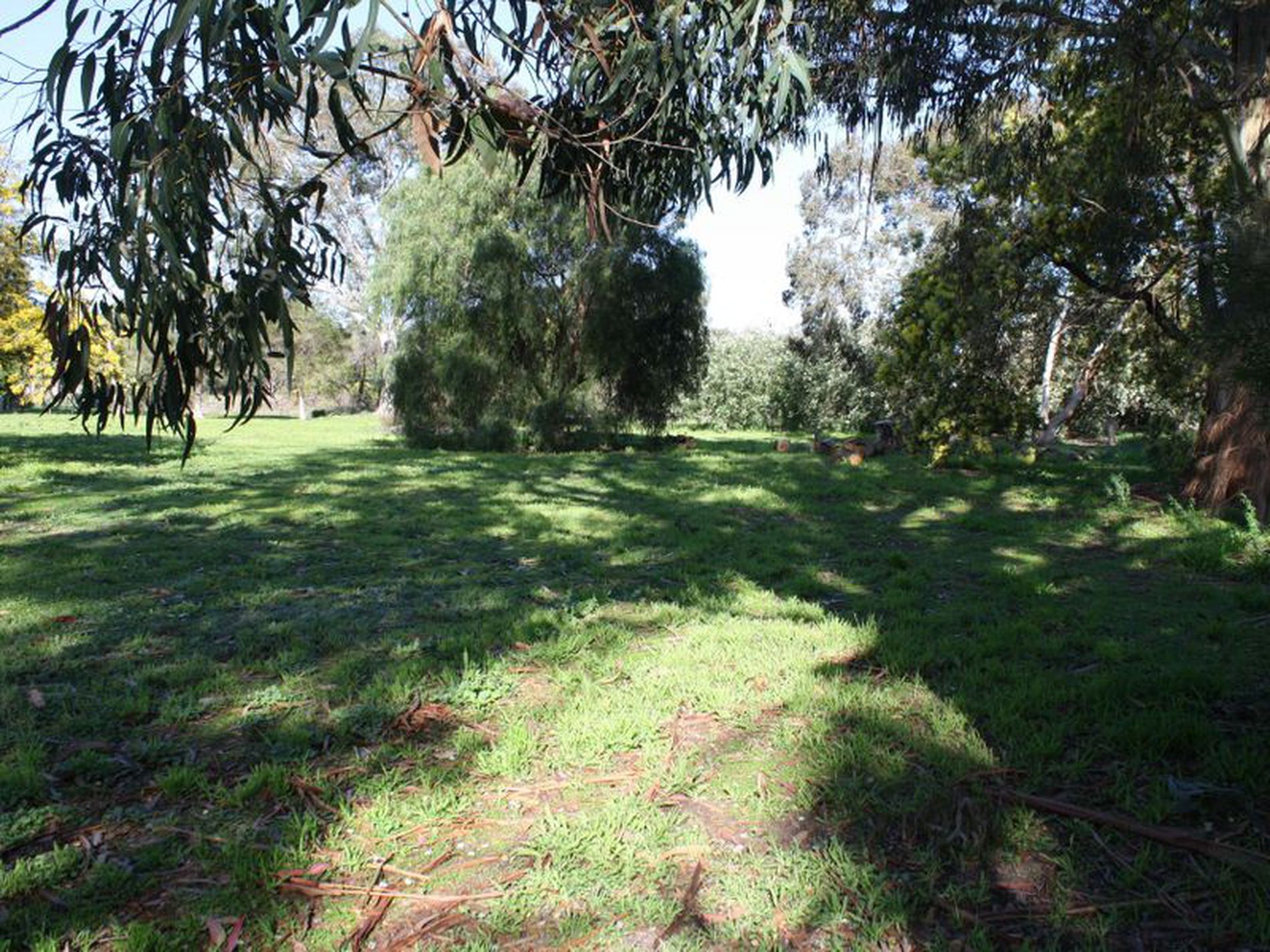 169 Williams Road, Millicent