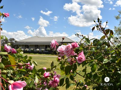 353 Lyons Road, Tarrawingee