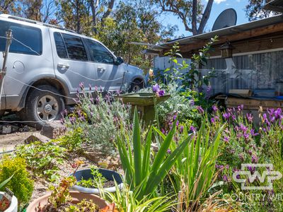 144 Skeleton Creek Road, Shannon Vale