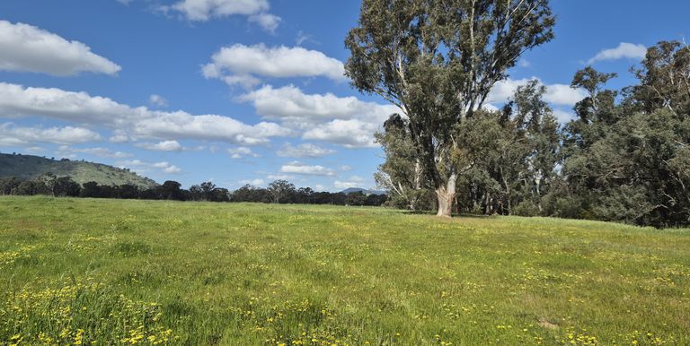 393 Mansfield Road, Euroa