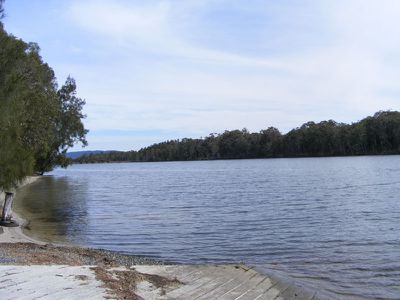 Forster