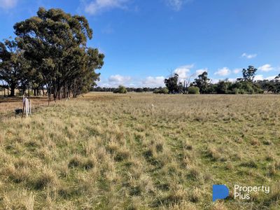 Lot 1, 4000 Korong Vale-Wychitella Road, Woolshed Flat