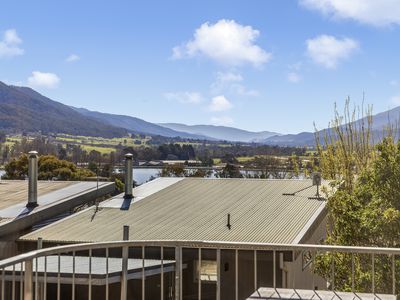 30 / 84 Bogong High Plains , Mount Beauty