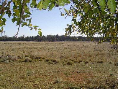 'Palmdale', 208R Mogriguy Road, Eumungerie