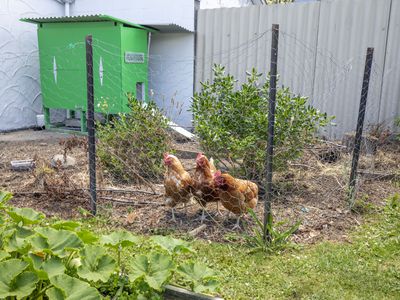 186 California Drive, Totara Park