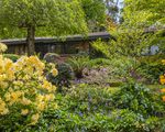 10 Cheniston Road, Mount Macedon
