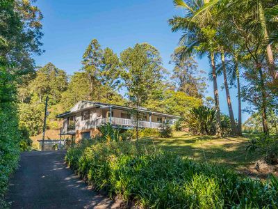 1117 Tuntable Creek Road, Nimbin