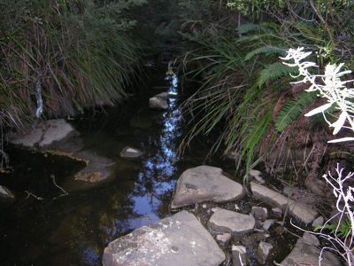 Lot 2, 7743 Huon Highway, Strathblane