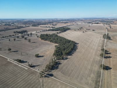 1501 Howlong-Goombargana Road, Brocklesby