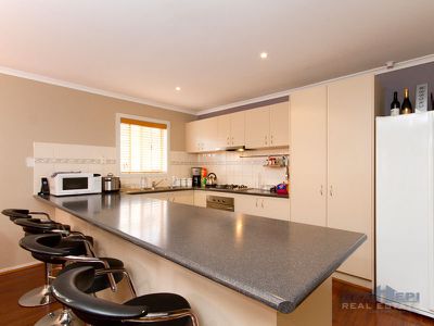81 Golden Grove Drive, Narre Warren South