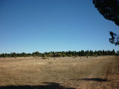 8L Morey Place, Dubbo