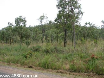 41 Lemontree Drive, Mutchilba