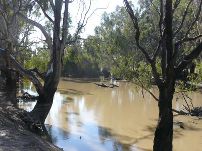 Deniliquin Road, Barham
