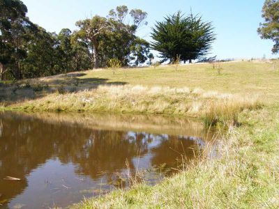 Gardners Bay