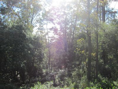Lot 1 Missing Link Road, Wattle Grove
