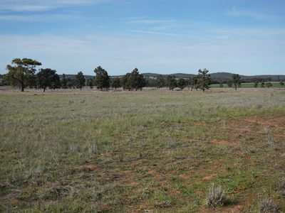 'Nyrang' 3013 Mid Western Highway, West Wyalong