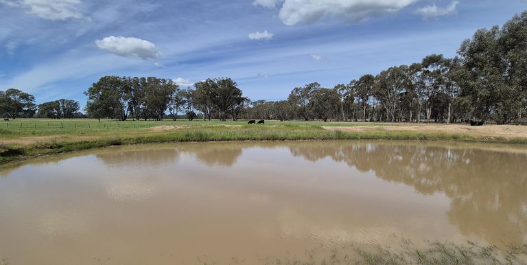 50 Ramage Road, Violet Town