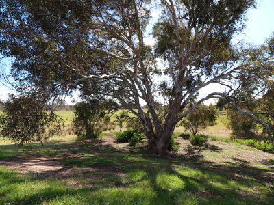 130 Cowles Road, Seymour