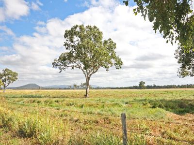 Mareeba