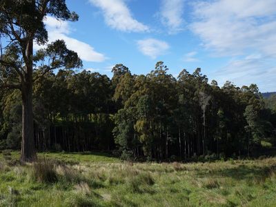 Lot 1 Kalonga Road, Nicholls Rivulet
