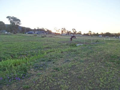 Lot 18 Lot 18 Hodgson St, Maryvale