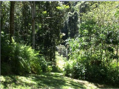 Maleny