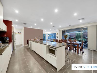 8 Hilderbrand Avenue, Williams Landing