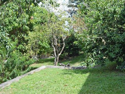 Lot 1 Cedar Street, Maleny