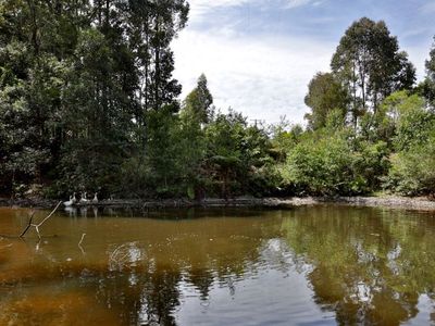 438 Duffy's Lane, Kangaroo Valley