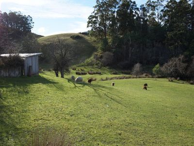 7572 Channel Highway, Cygnet