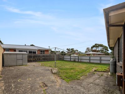 31 Dalkeith Street, Waverley