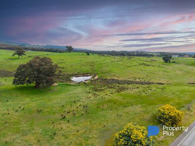 Lot 2, 990 Sedgwick Road , Sedgwick