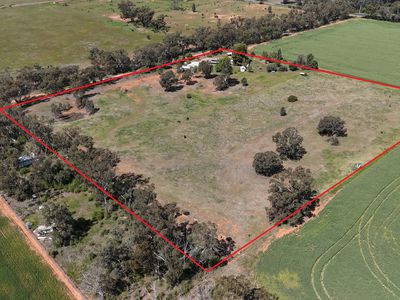 Havilah Tullamore Road, Peak Hill