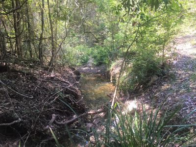 702 Comboyne Road, Byabarra